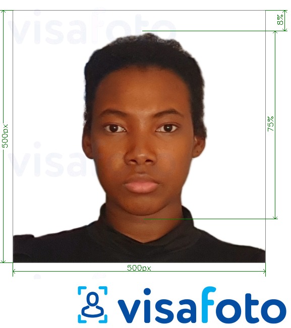 Voorbeeld van foto voor Visum Kameroen online 500x500 px met exacte maatspecificatie