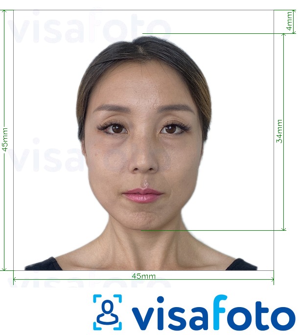 Voorbeeld van foto voor Japan Visa 45x45mm, kop 34 mm. met exacte maatspecificatie