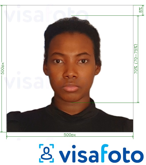 Voorbeeld van foto voor Kenia e-visum online 500x500 pixels met exacte maatspecificatie