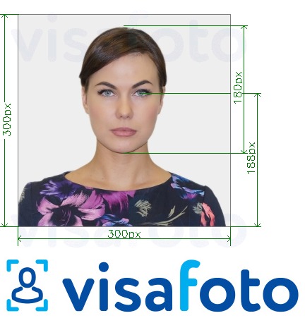 Voorbeeld van foto voor Southeastern's ID Card Online 300x300 px met exacte maatspecificatie